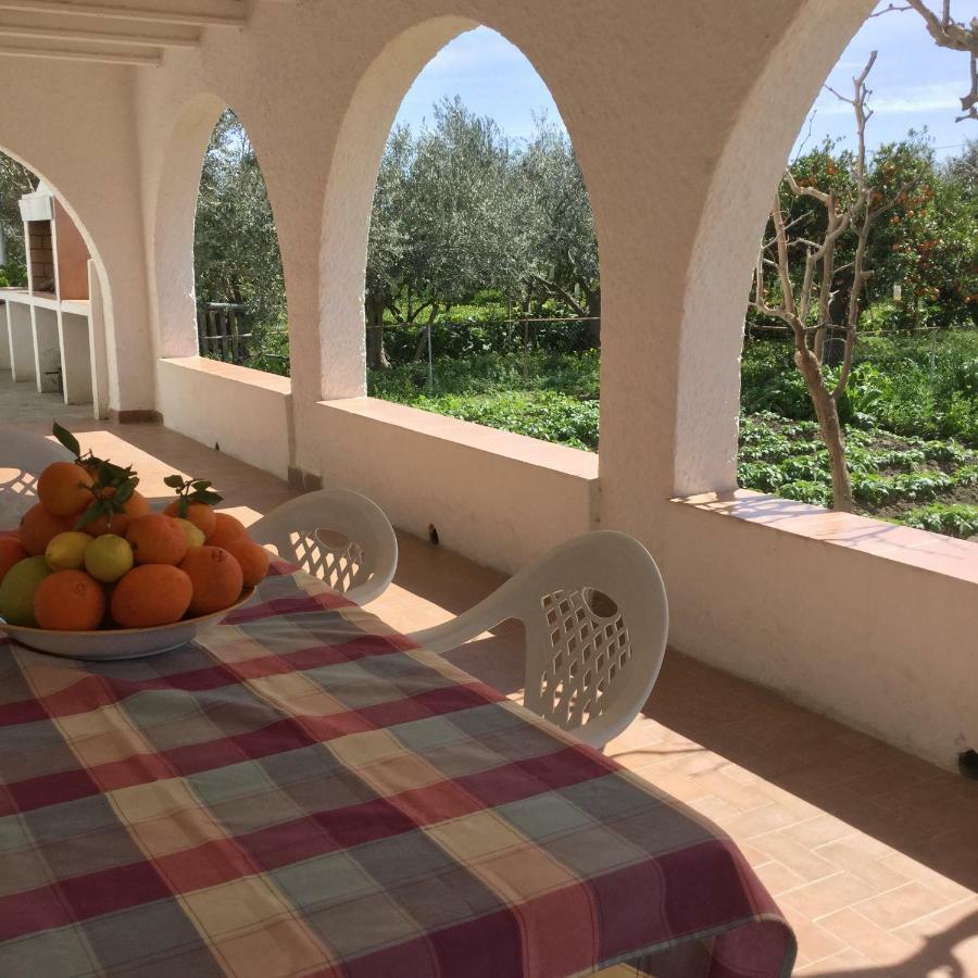 Benahadux El Cortijo De La Abuelaゲストハウス エクステリア 写真