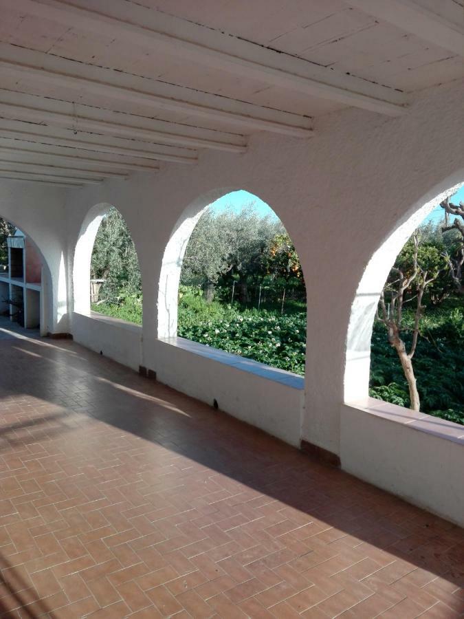 Benahadux El Cortijo De La Abuelaゲストハウス エクステリア 写真