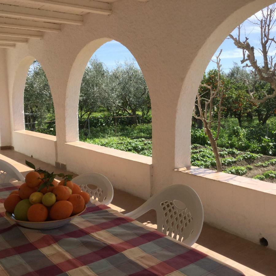 Benahadux El Cortijo De La Abuelaゲストハウス エクステリア 写真